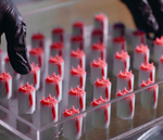 Flashforge® 530 XHD: Impresora 3D de cera para joyería de alta resolución extrema con triple cabezal de impresión