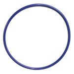 Indutherm Junta Tórica de Cámara de 169 mm para Máquinas de Fundición VC 200 - VC 600: (175 x 7 mm)