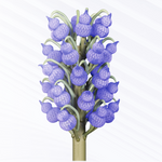 FlashForge® Build Material for WaxJet 400 HD - 1.17 kg