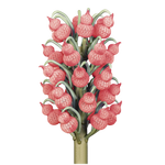 Flashforge® 510 XHD: Impresora 3D de cera para joyería MultiJet de ultra alta resolución